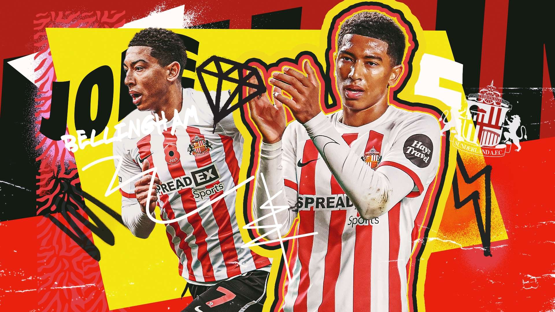 受瞩目的大 受瞩目的大