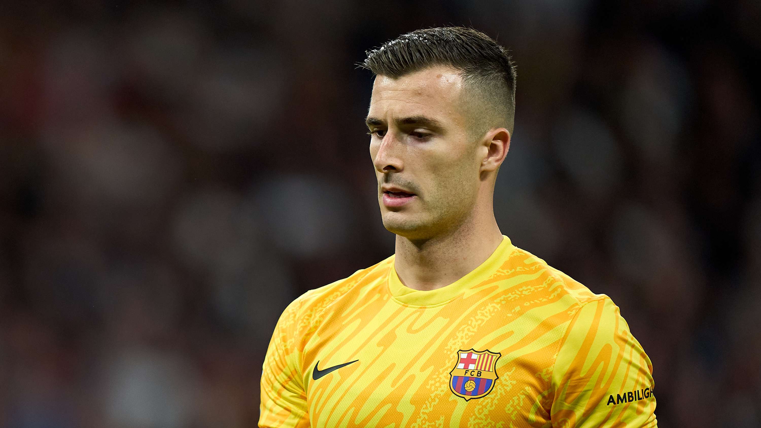 以其四颗星 以其四颗星