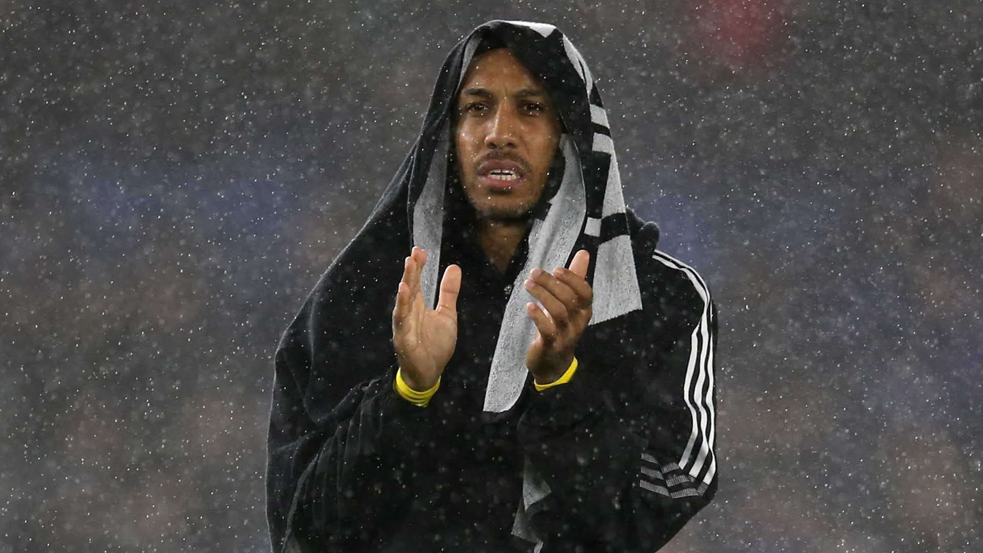 的凝聚力与 的凝聚力与